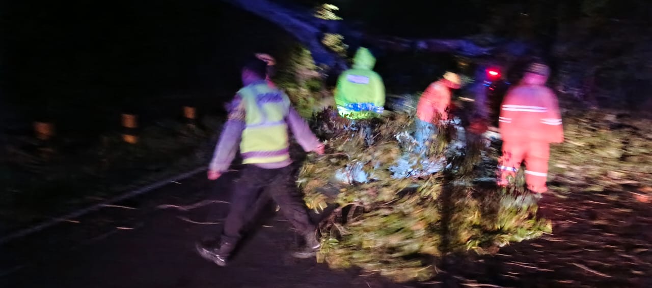 Respons Cepat Polisi Magetan Bersama BPBD, Pohon Tumbang di Jalur Tawangmangu–Plaosan Berhasil Dievakuasi