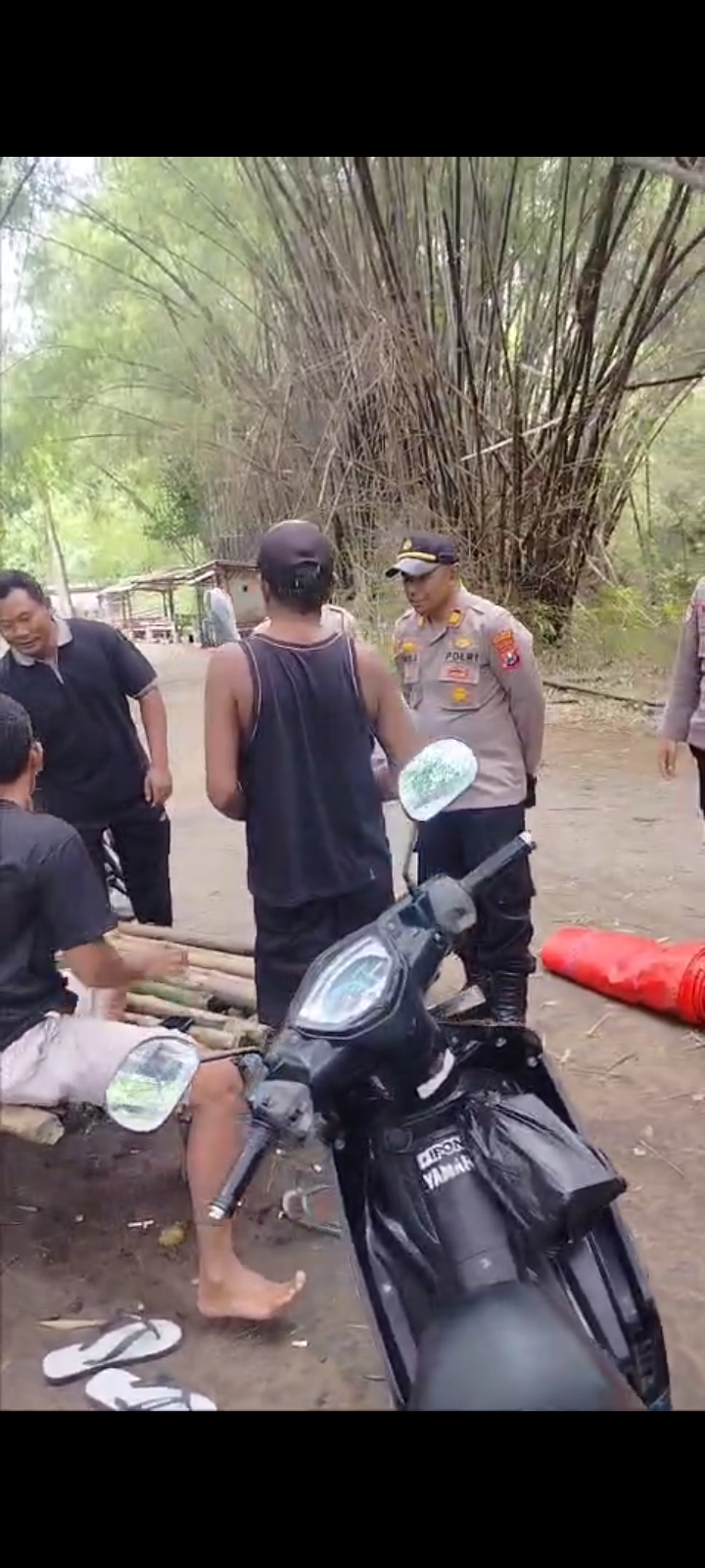 ‎Polsek Bendo Bongkar Arena Sabung Ayam  ‎