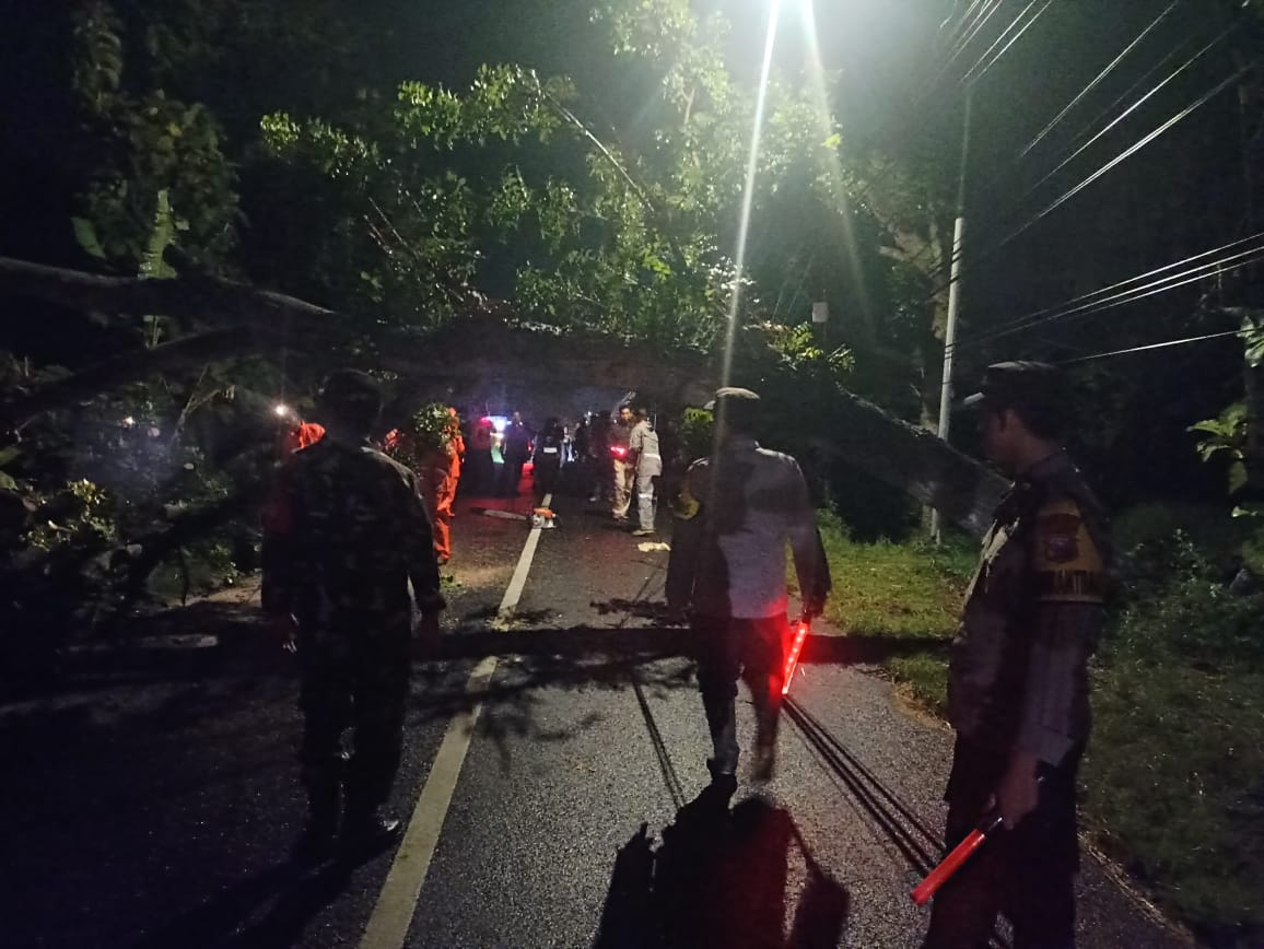 Quick Respon TPTKP Laka Lantas Akibat Pohon Tumbang di Jalan Raya Parang–Lembeyan