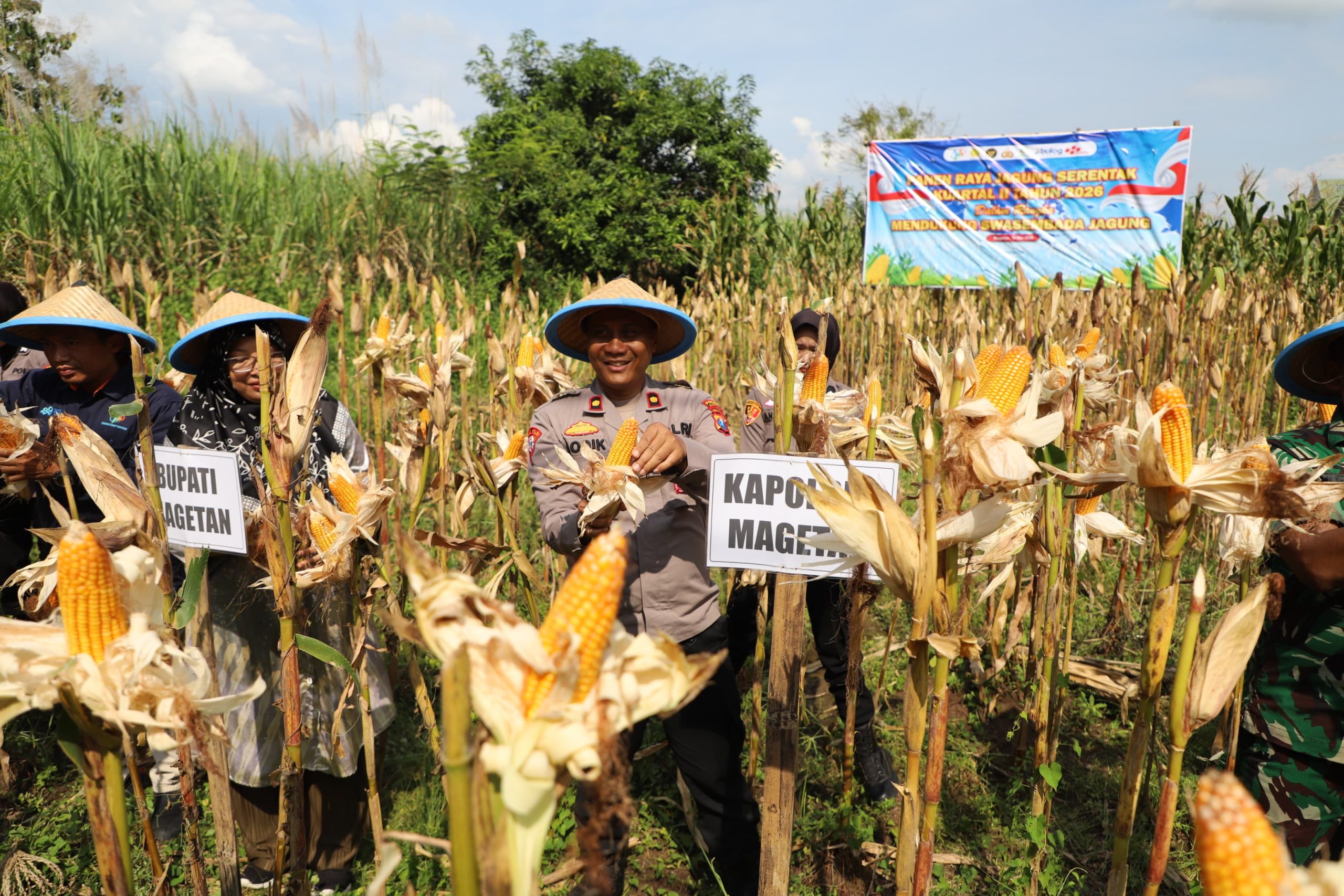 Polres Magetan Panen Raya Jagung Kuartal II 2026, Wujud Nyata Dukung Swasembada Pangan Nasional