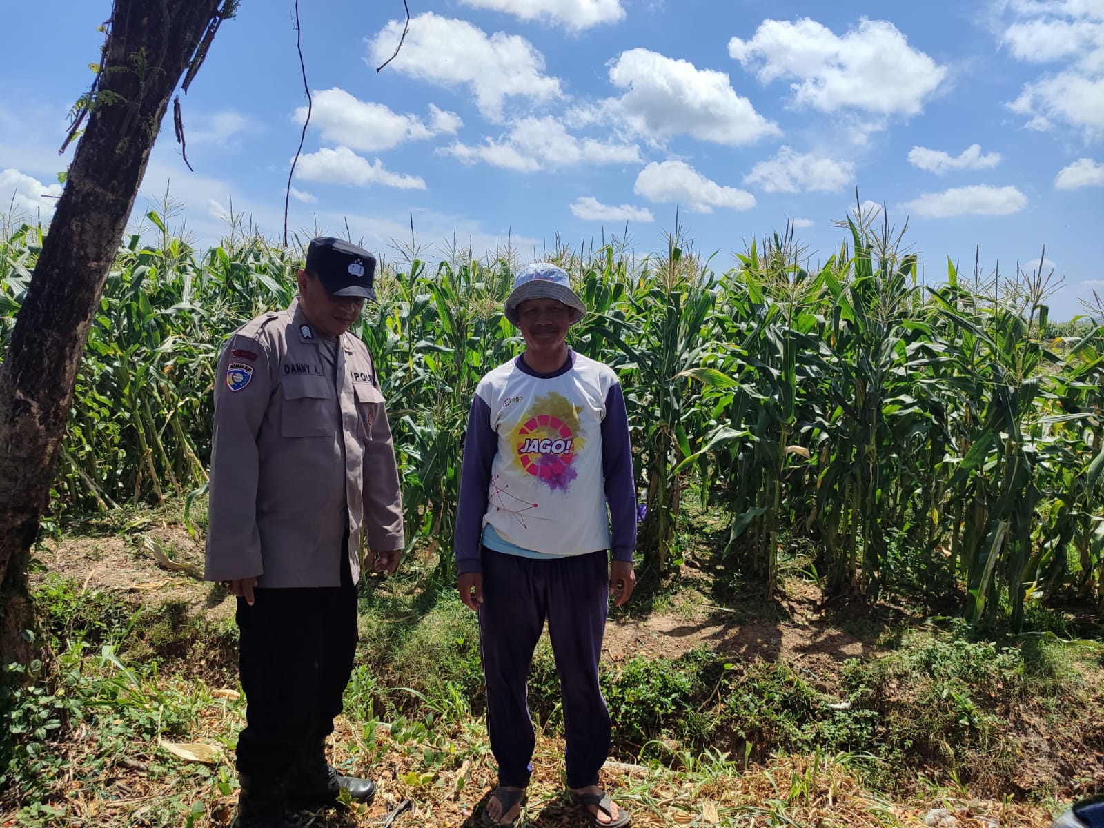 Bhabinkamtibmas Desa Trosono Polres Magetan Sambangi Lahan Jagung Warga, Sharing Kendala Pertanian