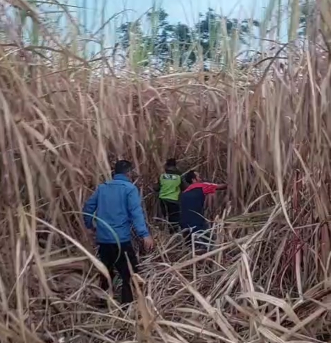 Sigap Tangani Kebakaran Lahan Tebu