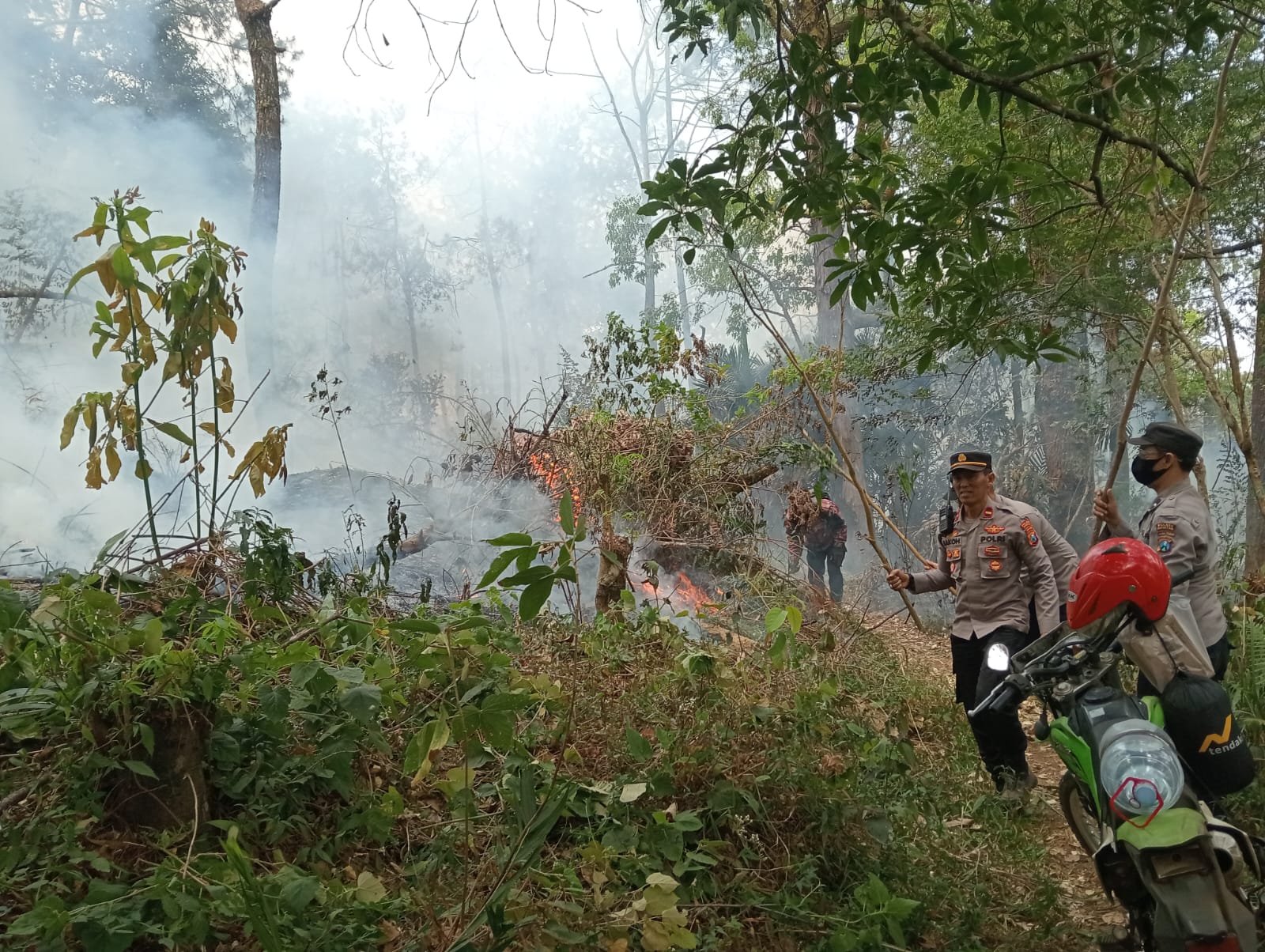 Gerak Cepat Tangani Karhutla di Petak 66 Lereng Lawu, Polisi-TNI-Perhutani dan Warga Gotong Royong Padamkan Api