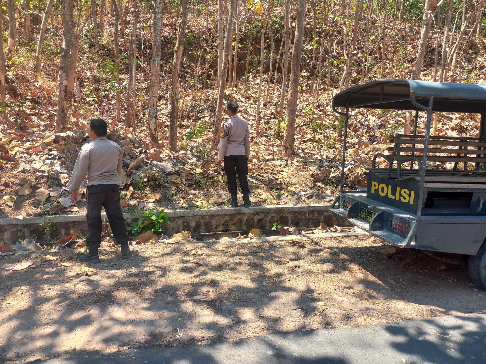 Polsek Parang Polres Magetan Polda Jawa Timur Intensifkan Pemantauan Hutan Jati Nglopang, Cegah Karhutla Sejak Dini